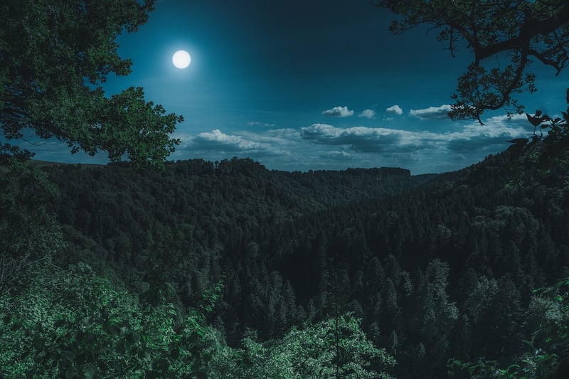 Moonlight Reception
